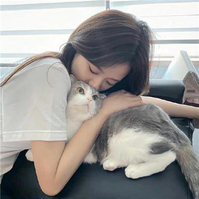 所有的猫都是灰色