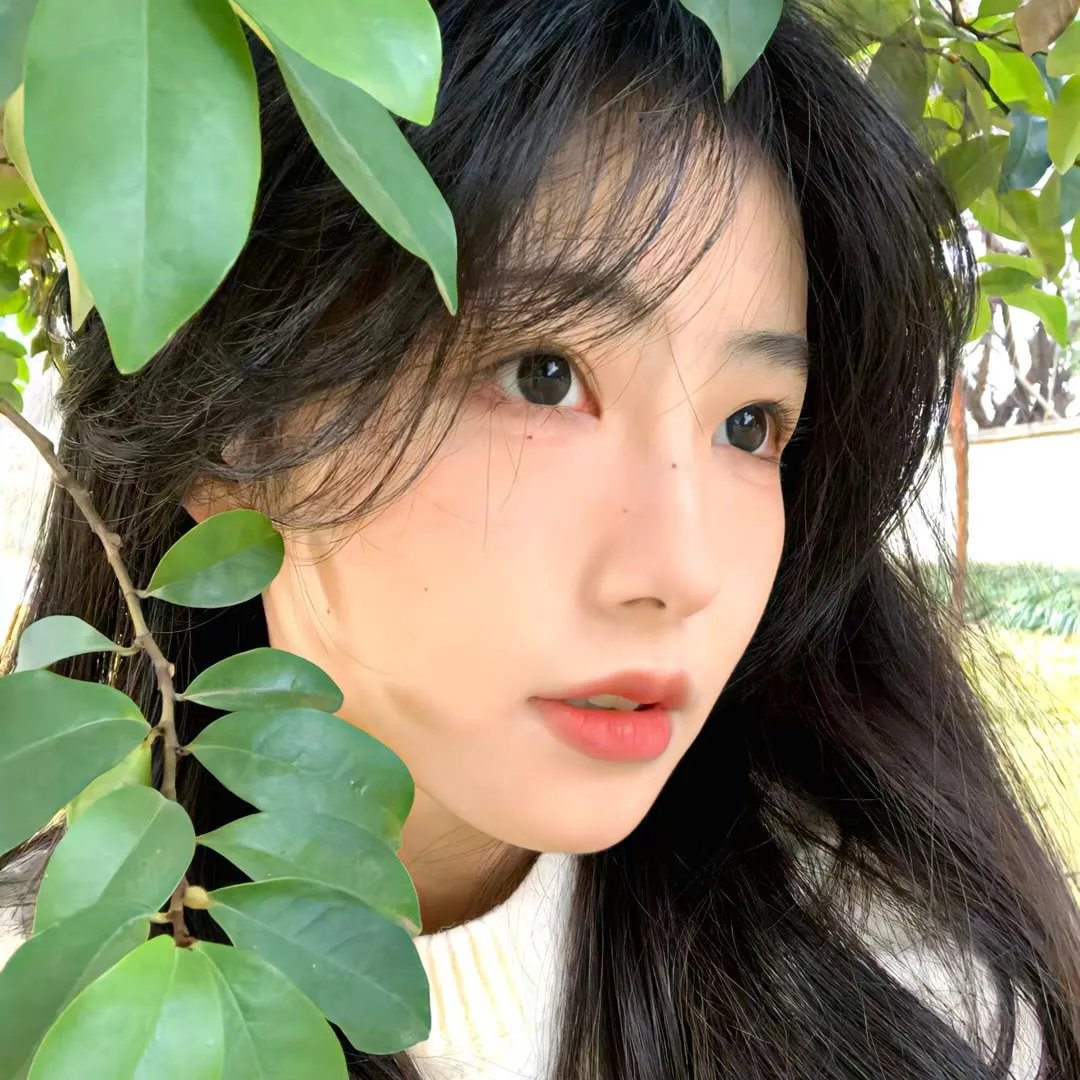情陷红磨坊